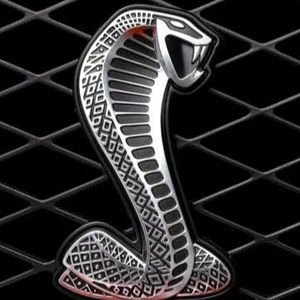 Meet your Posher, Martin